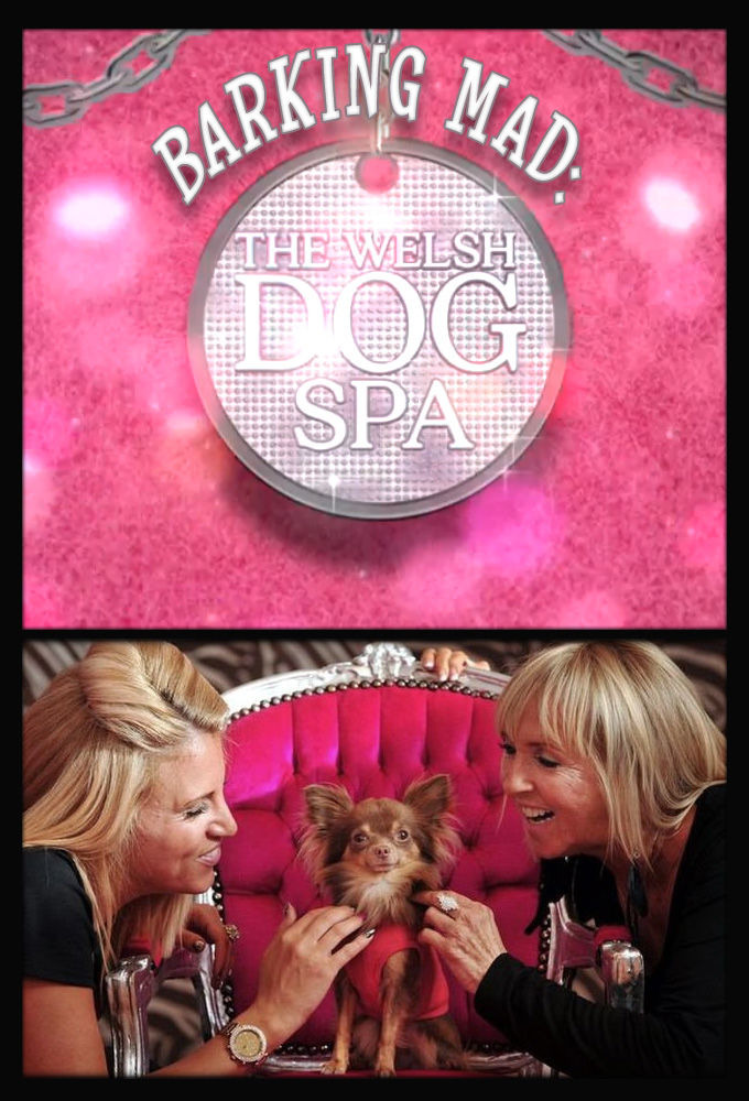 Show Barking Mad: The Welsh Dog Spa