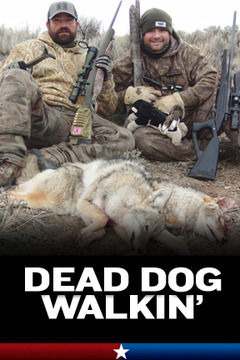 Сериал Dead Dog Walkin'