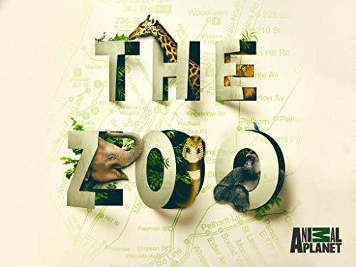 Сериал The Zoo