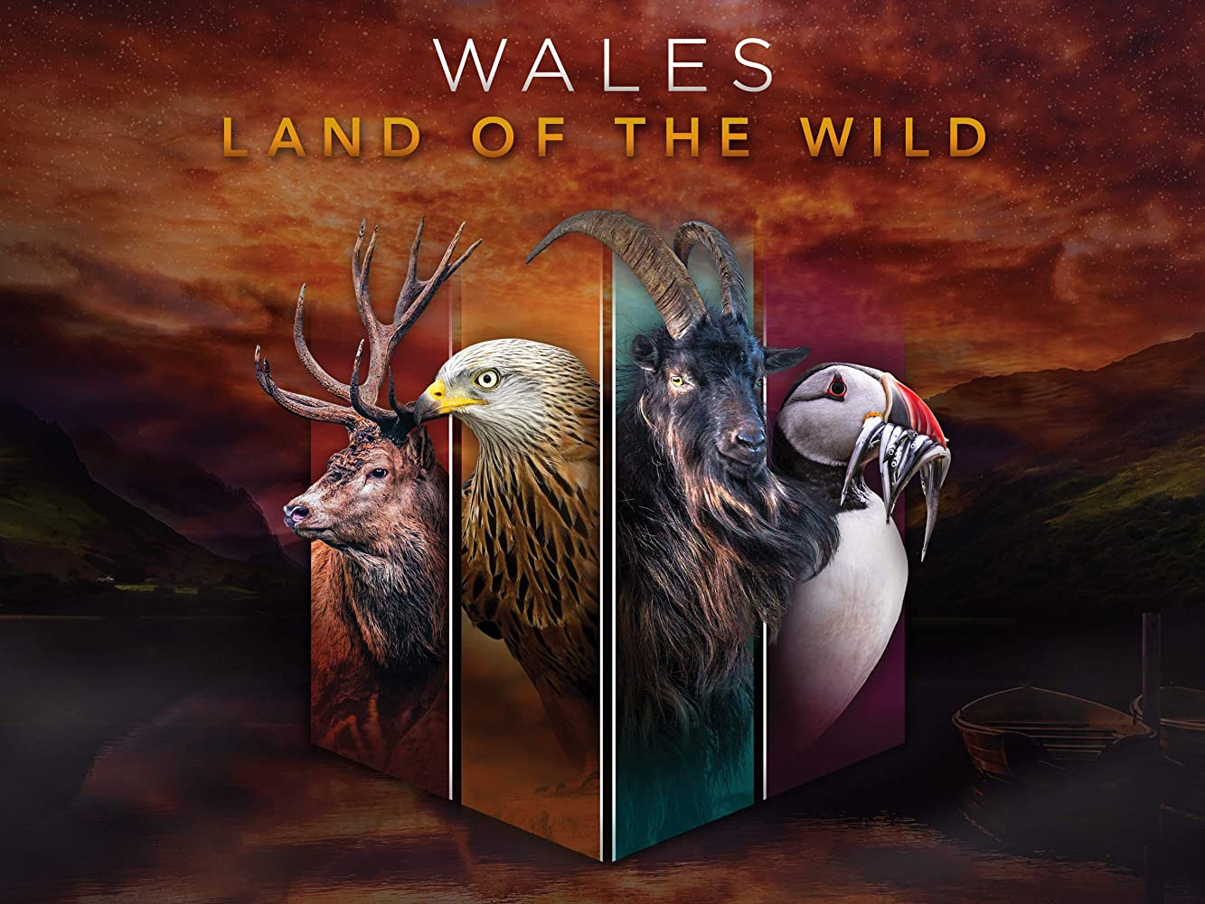 Show Wales: Land of the Wild