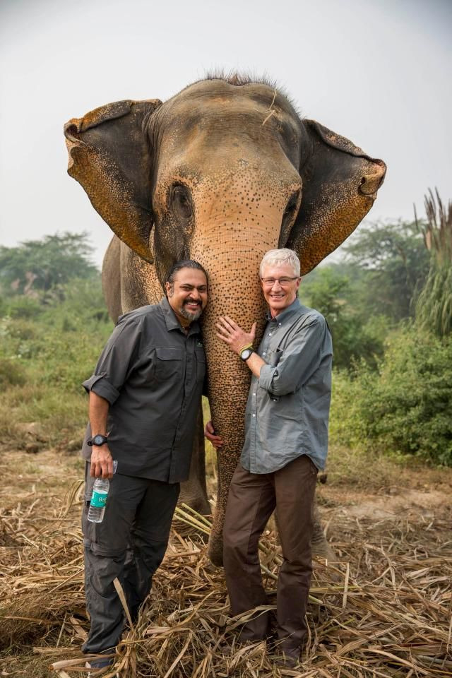 Сериал Paul O'Grady: For the Love of Animals - India