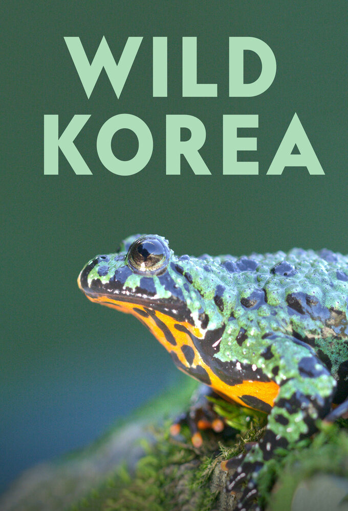 Сериал Wild Korea