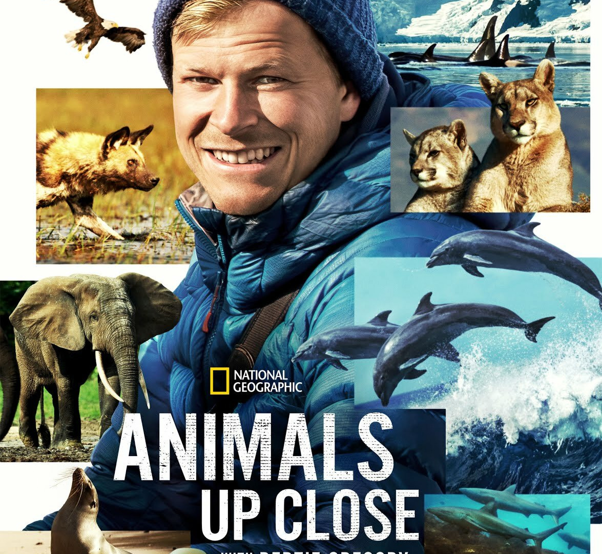 Show Animals Up Close with Bertie Gregory