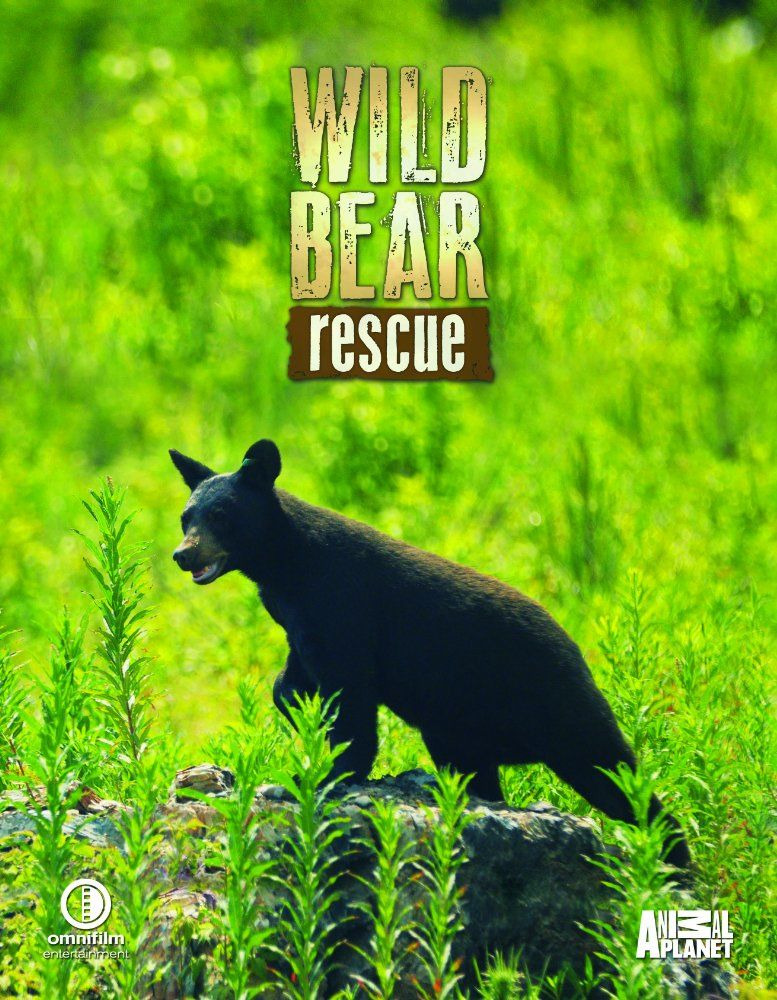 Show Wild Bear Rescue