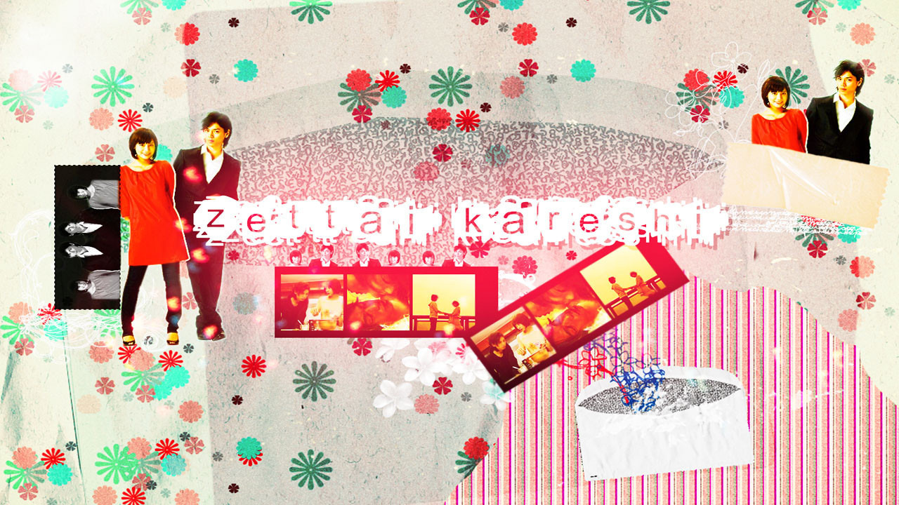 Show Absolute Boyfriend