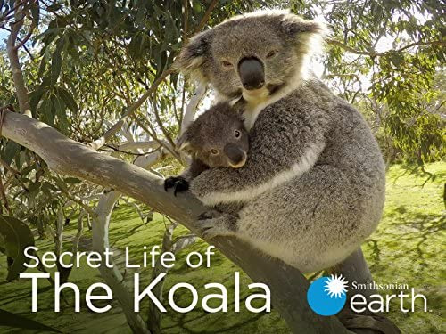 Сериал Secret Life of the Koala