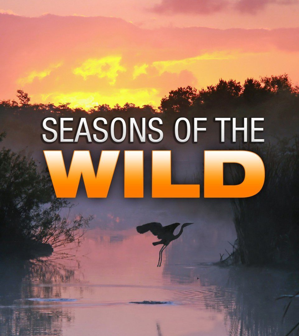 Сериал Seasons of the Wild