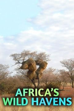 Сериал Africa's Wild Havens