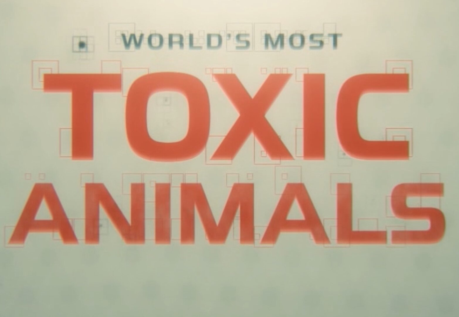 Show World's Most Toxic Animals