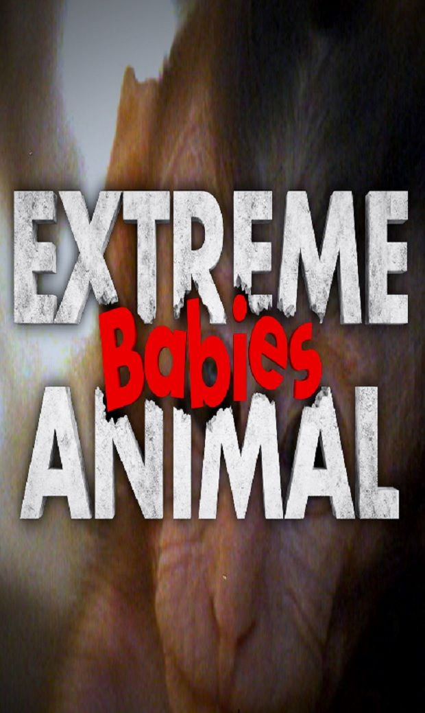 Show Extreme Animal Babies