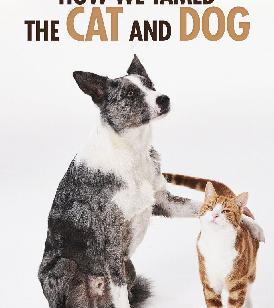 Сериал How We Tamed the Cat and Dog
