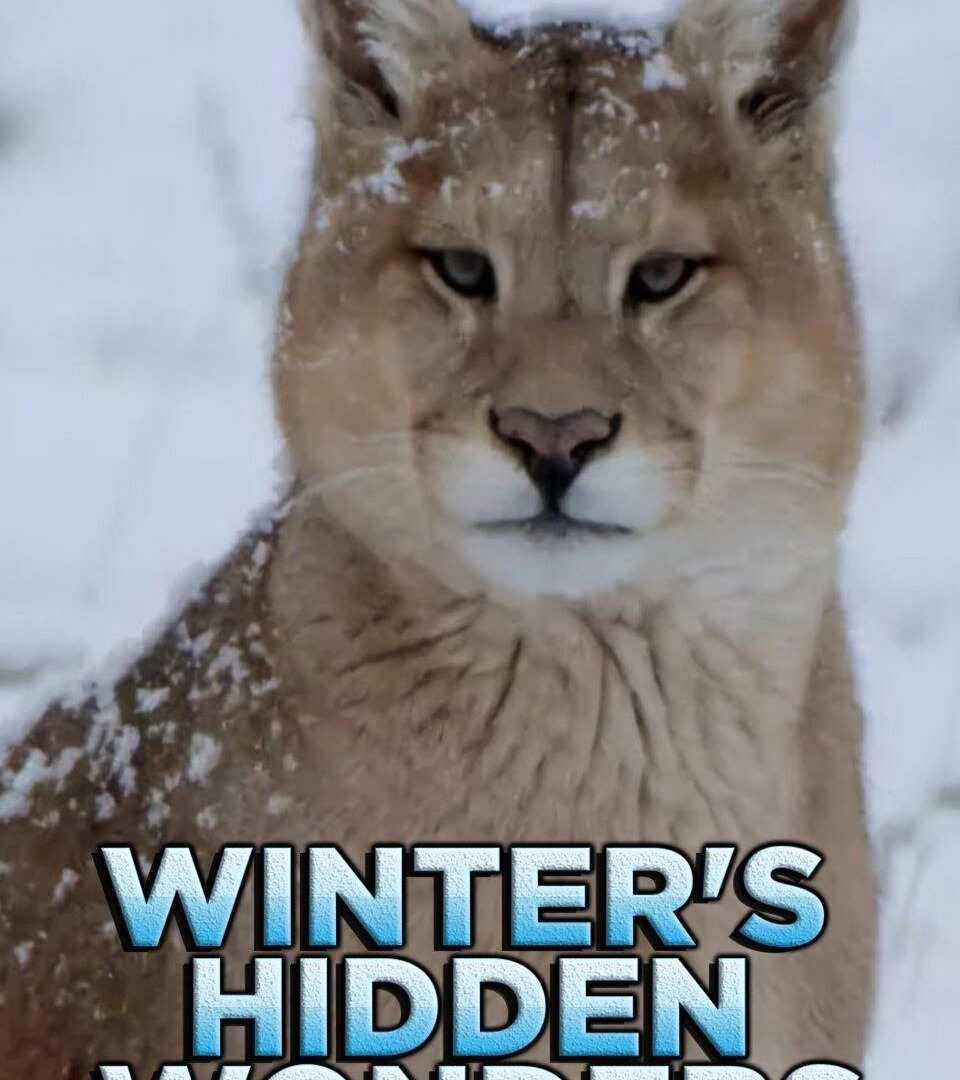 Show Winter's Hidden Wonders