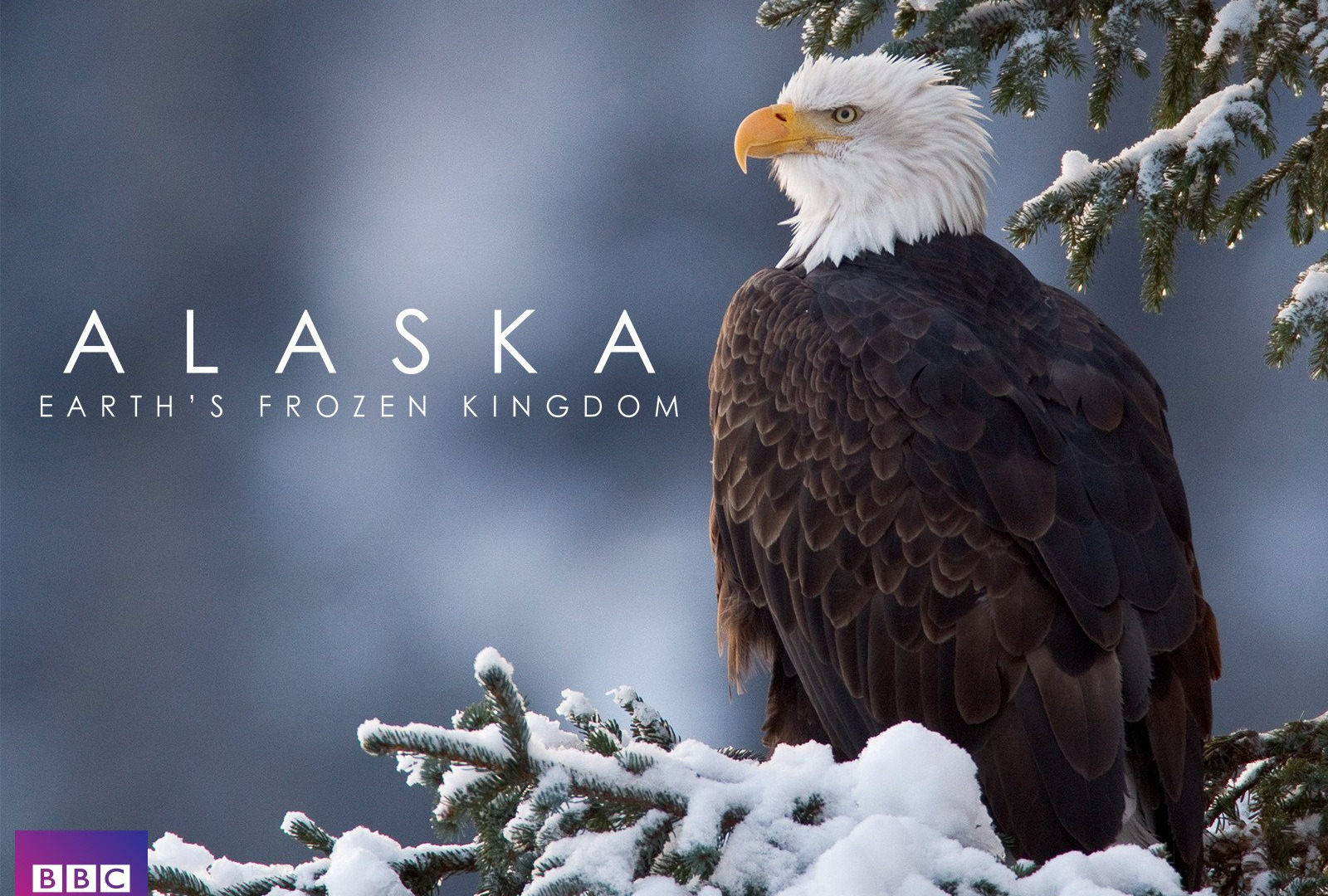 Сериал BBC: Аляска: земли замёрзшего королевства