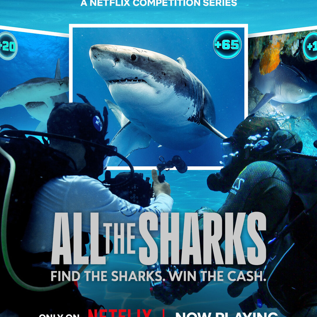 Сериал Все акулы