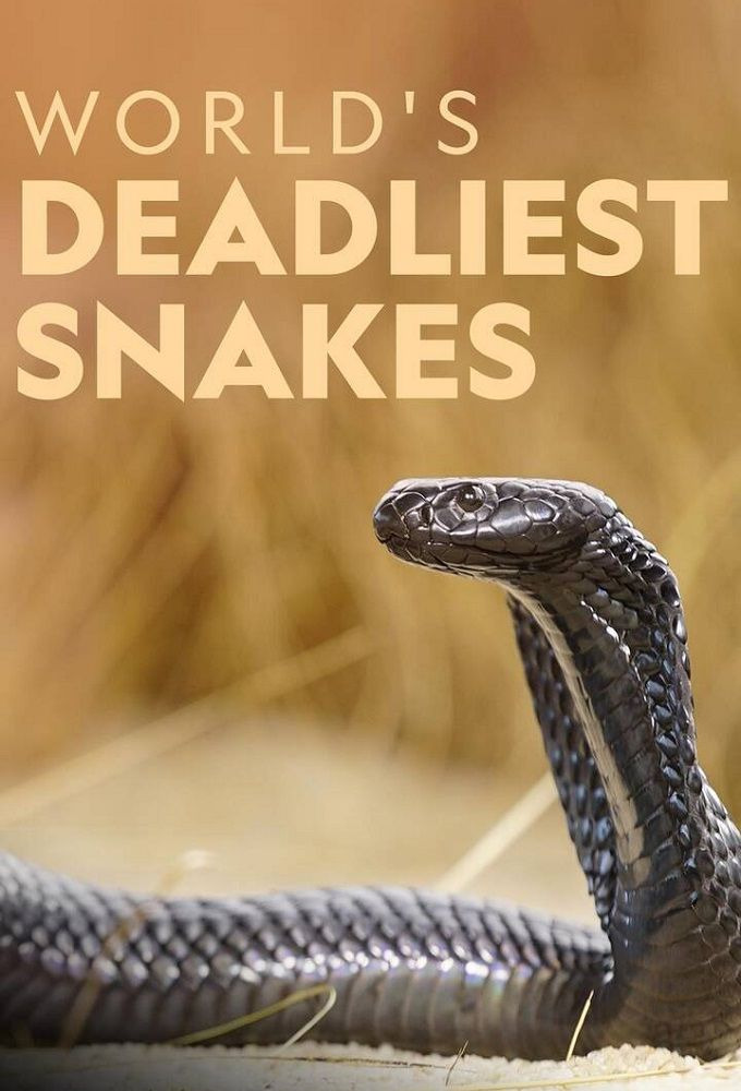 Сериал World's Deadliest Snakes