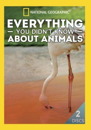 Сериал Everything You Didn't Know About Animals