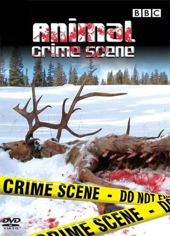 Сериал Animal Crime Scene