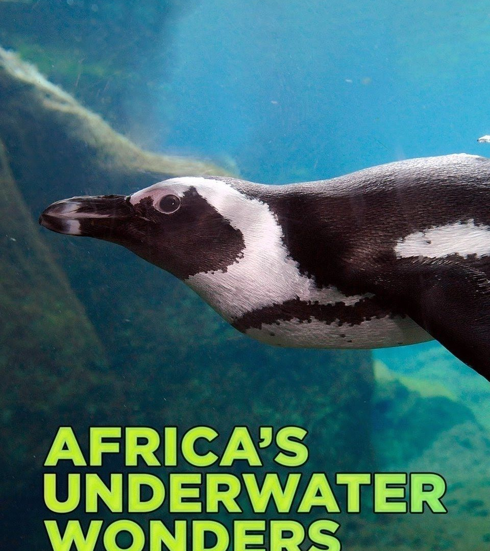 Сериал Africa's Underwater Wonders