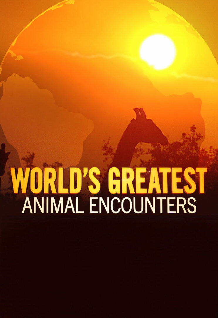 Сериал World's Greatest Animal Encounters