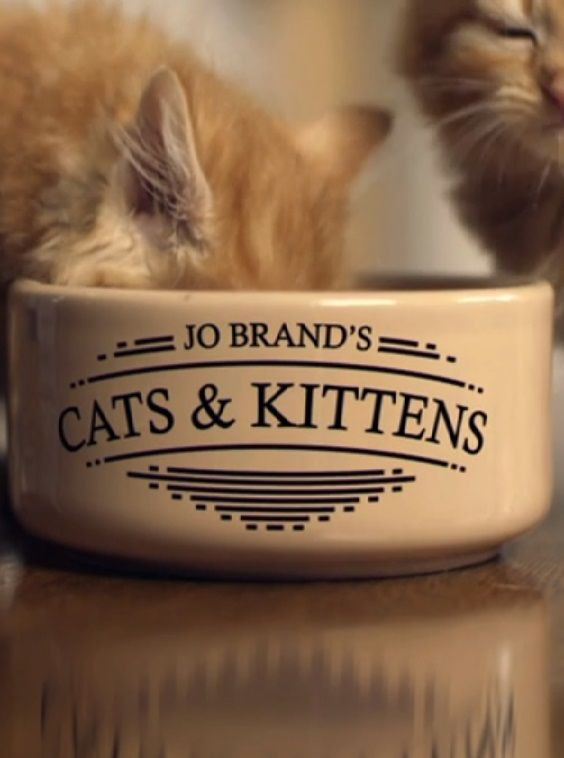Show Jo Brand's Cats and Kittens