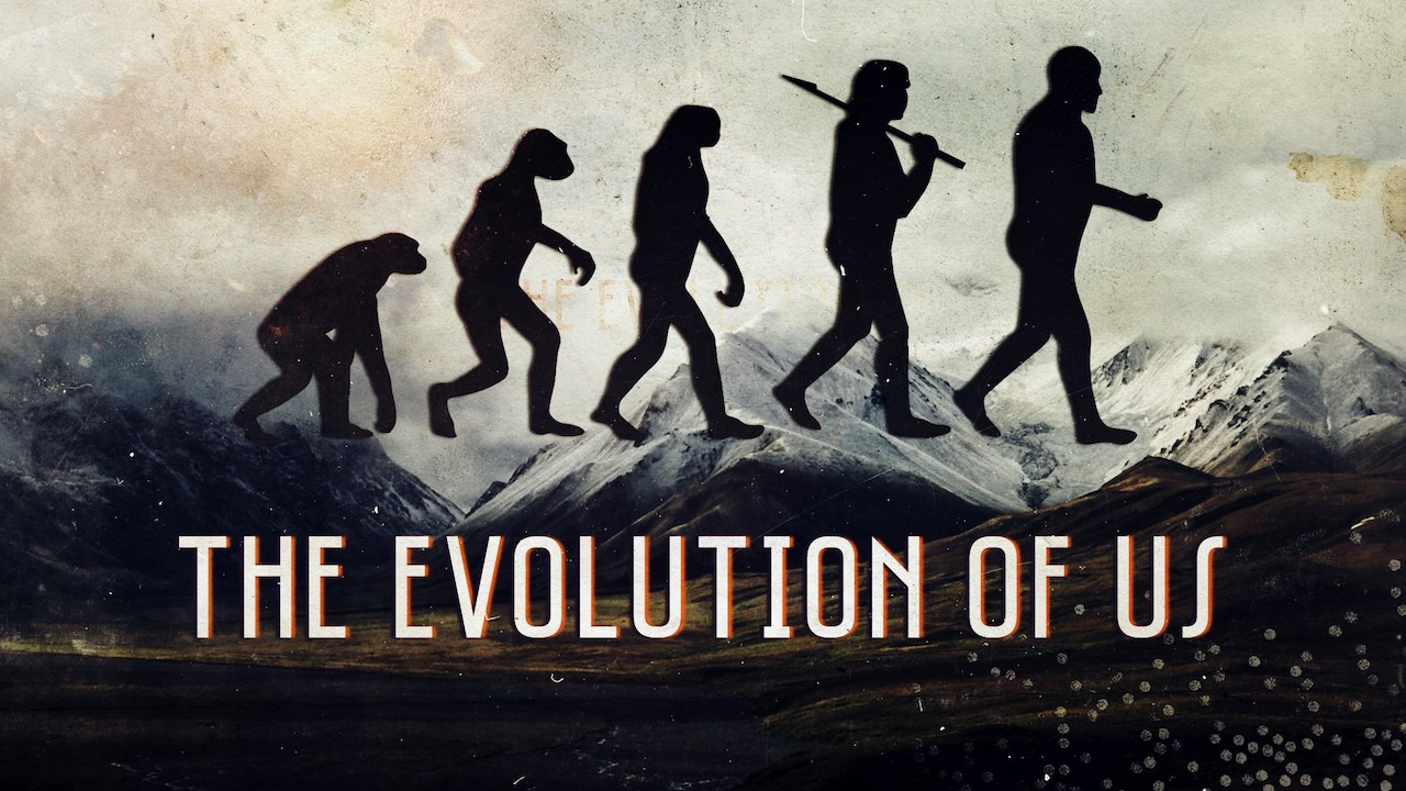 Show The Evolution of Us