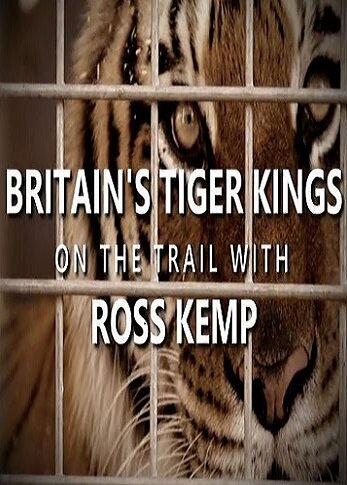 Сериал Britain's Tiger Kings - On the Trail with Ross Kemp