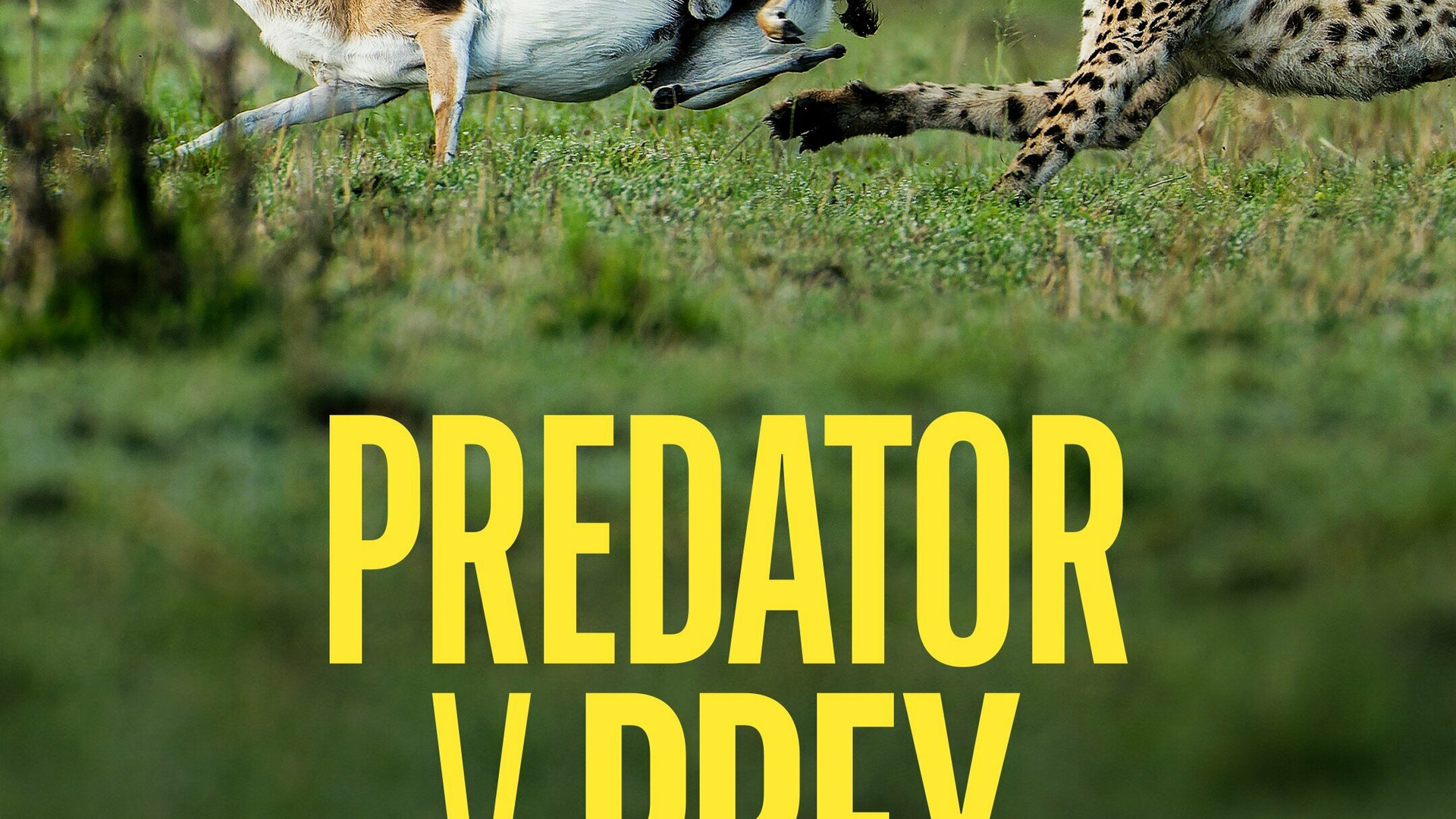 Show Predator vs Prey