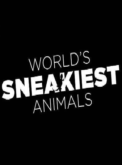 Сериал World's Sneakiest Animals