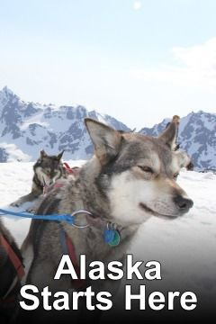 Show Alaska Starts Here