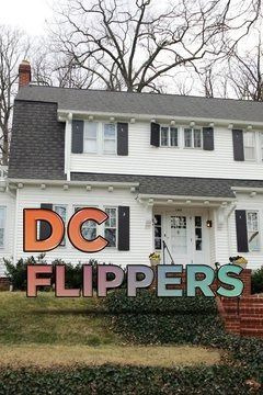 Сериал DC Flippers