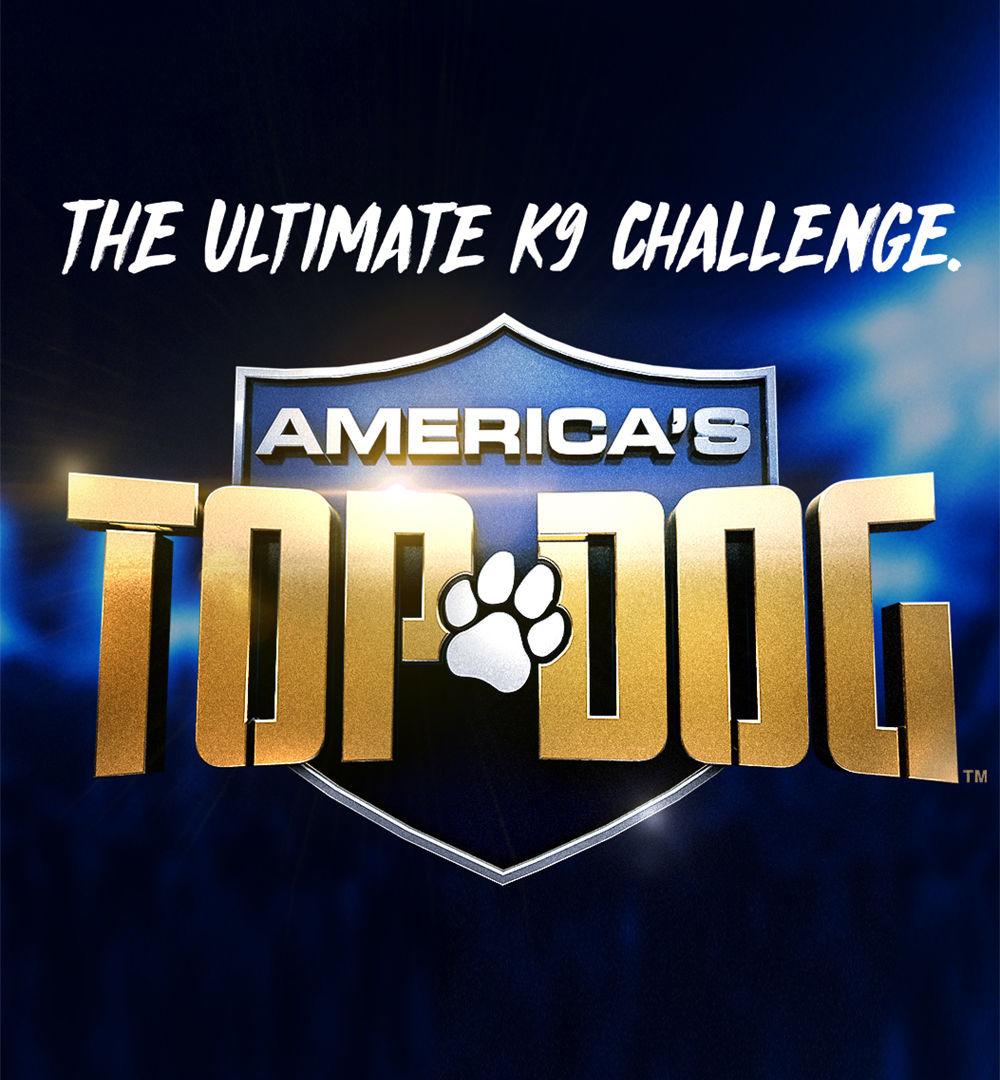 Show America's Top Dog