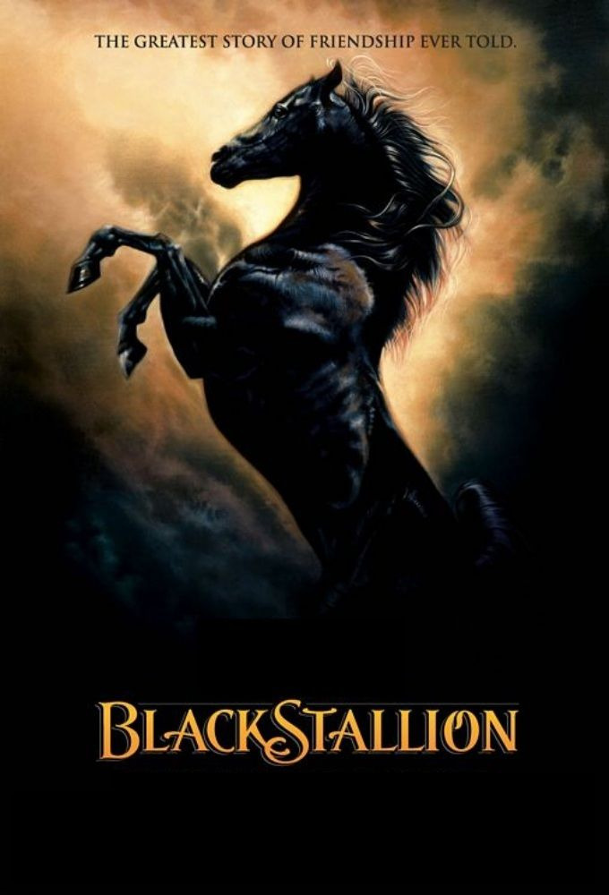 Сериал The Adventures of the Black Stallion