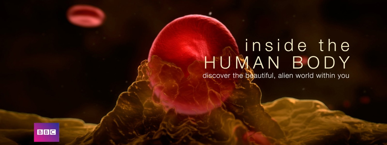 Show Inside the Human Body