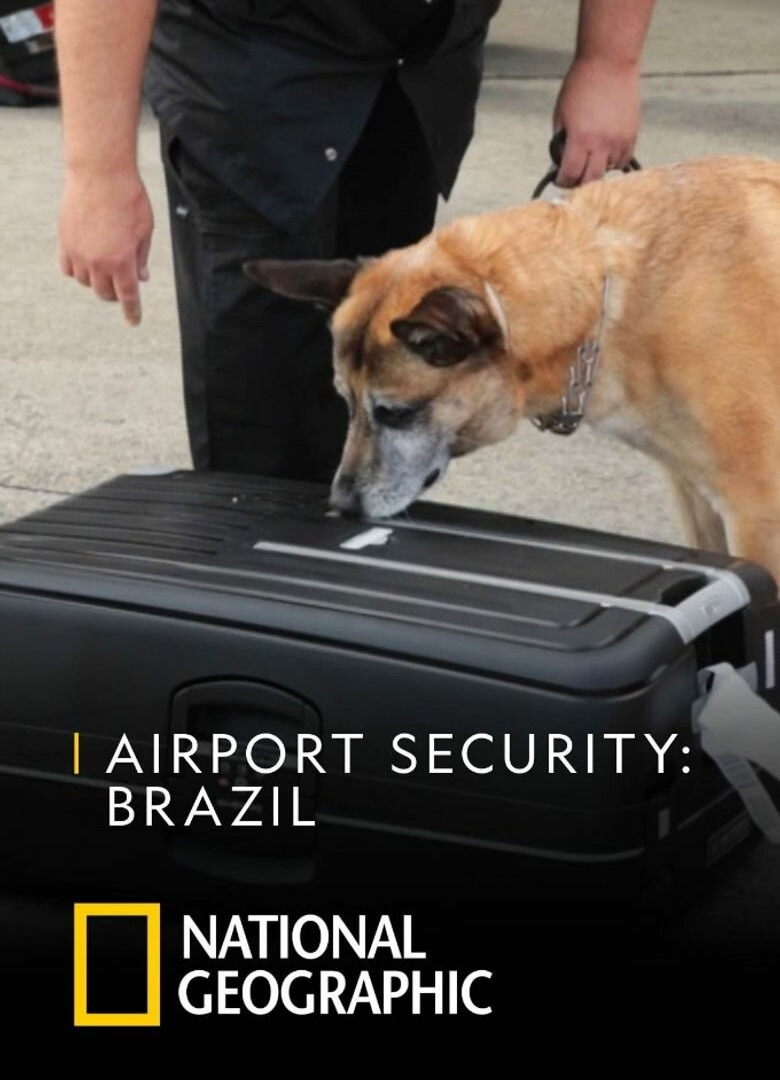 Show Airport Security: Brazil