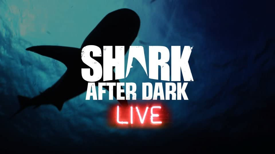 Show Shark After Dark
