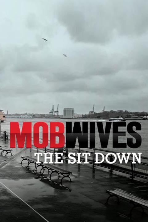 Show Mob Wives: The Sit Down