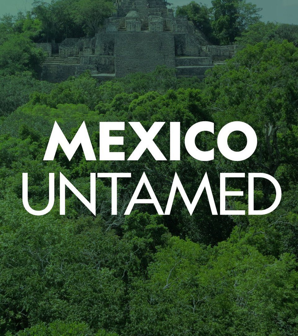 Сериал Mexico Untamed
