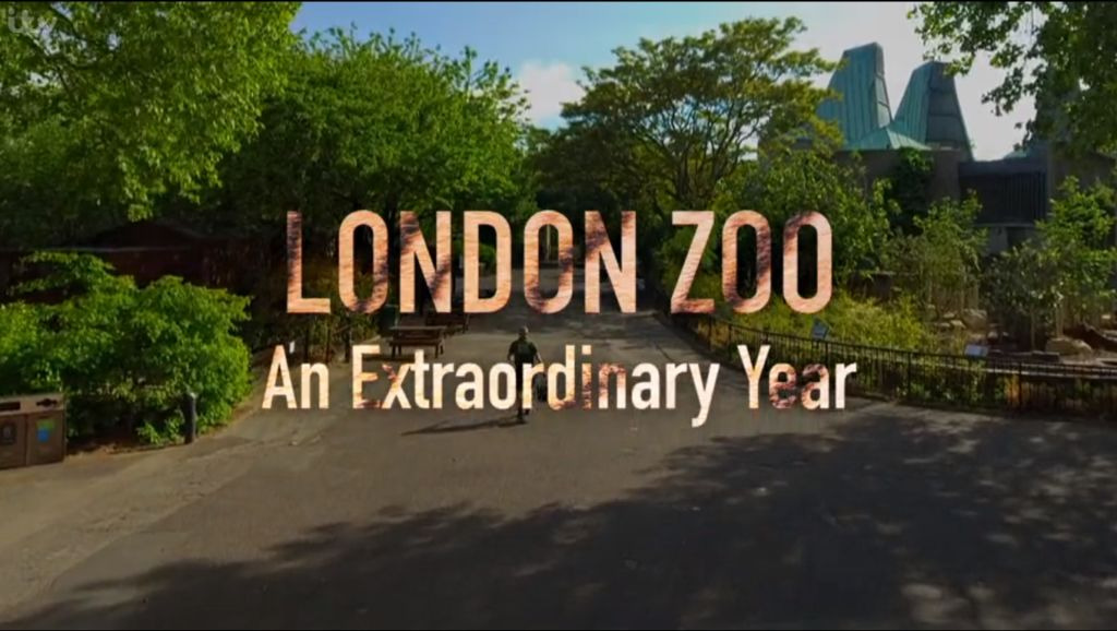 Show London Zoo: An Extraordinary Year
