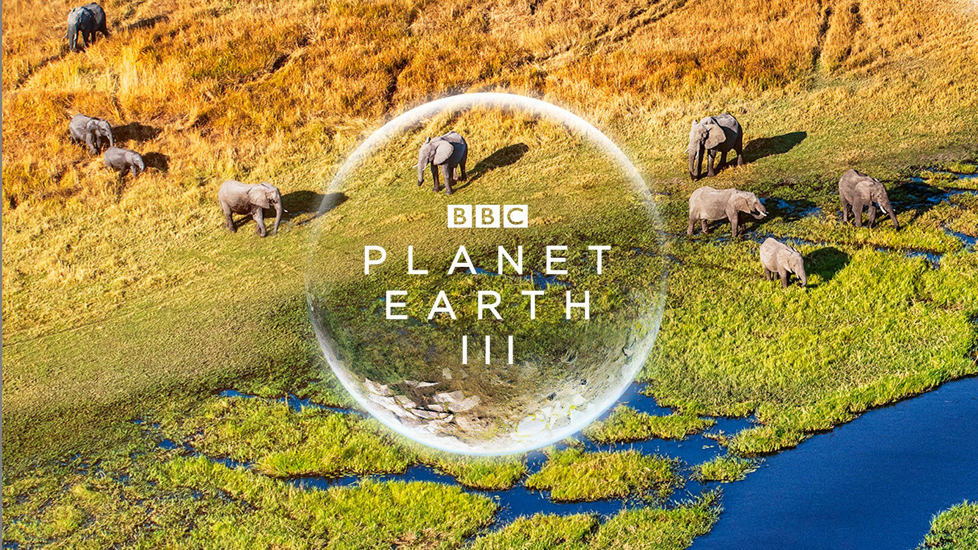 Сериал BBC: Планета Земля 3