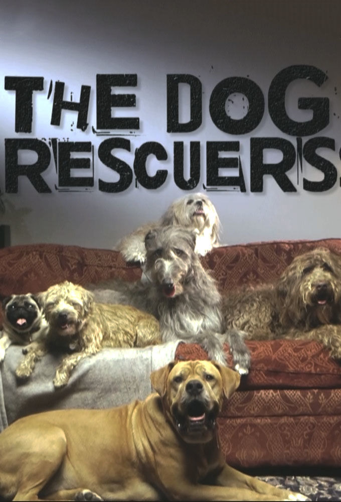 Show The Dog Rescuers with Alan Davies