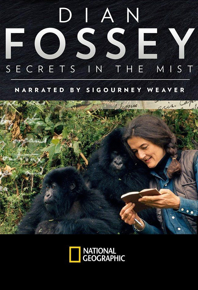 Show Dian Fossey: Secrets in the Mist