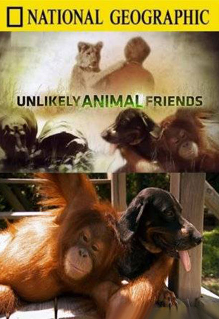Сериал Unlikely Animal Friends