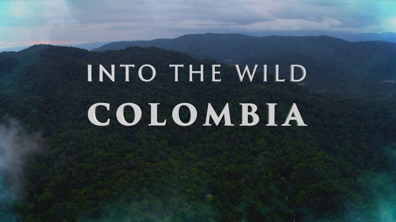 Сериал Into the Wild Colombia