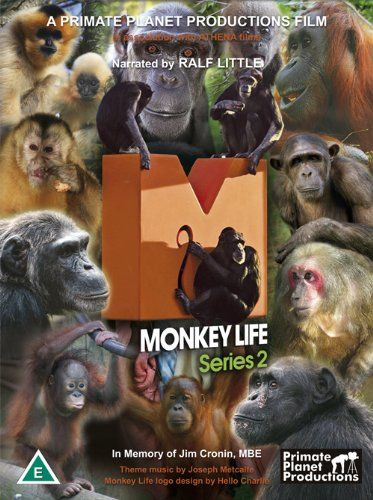 Сериал Monkey Life