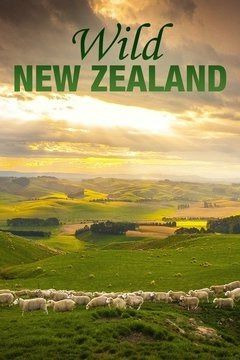 Сериал Wild New Zealand