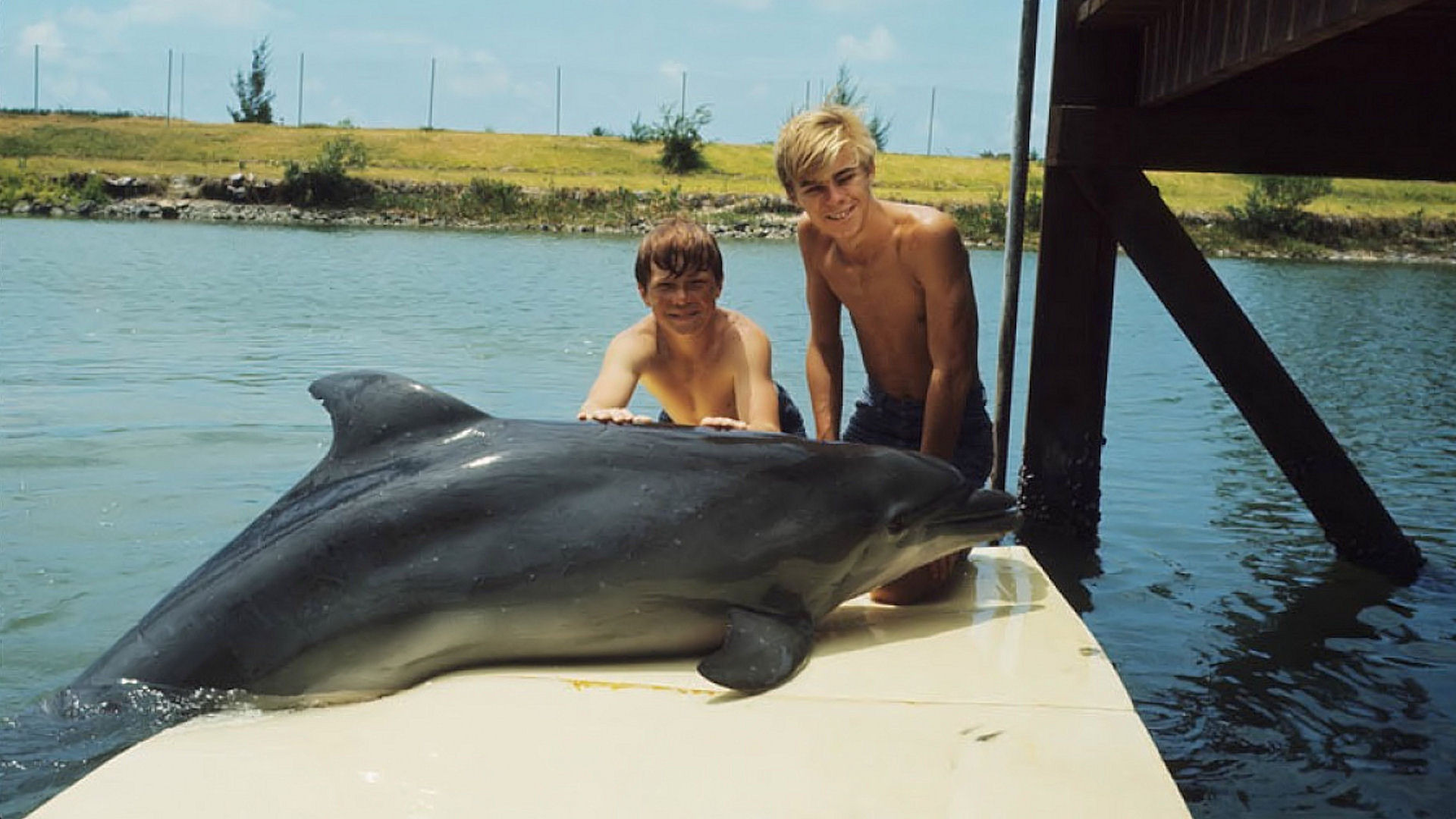 Show Flipper (1964)