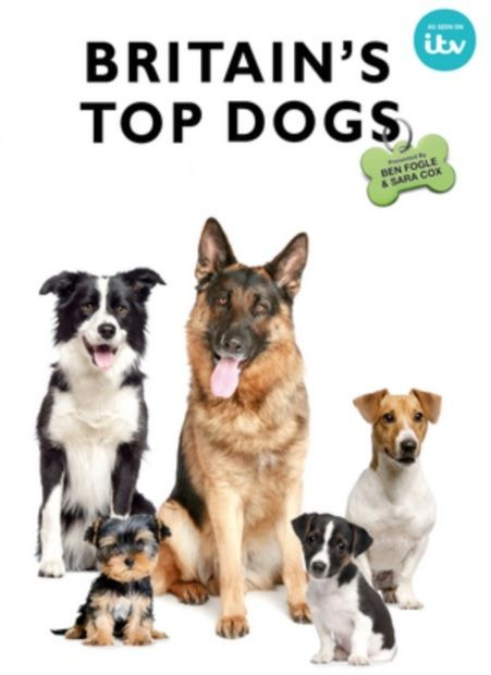 Сериал Britain's Top Dogs
