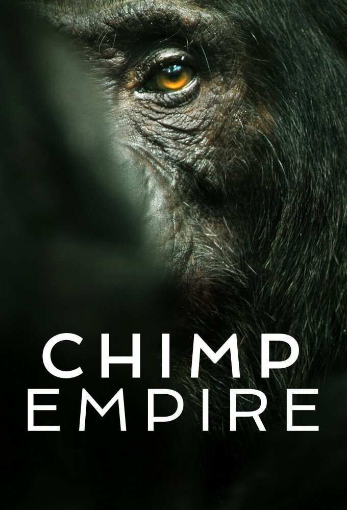 Сериал Империя шимпанзе	