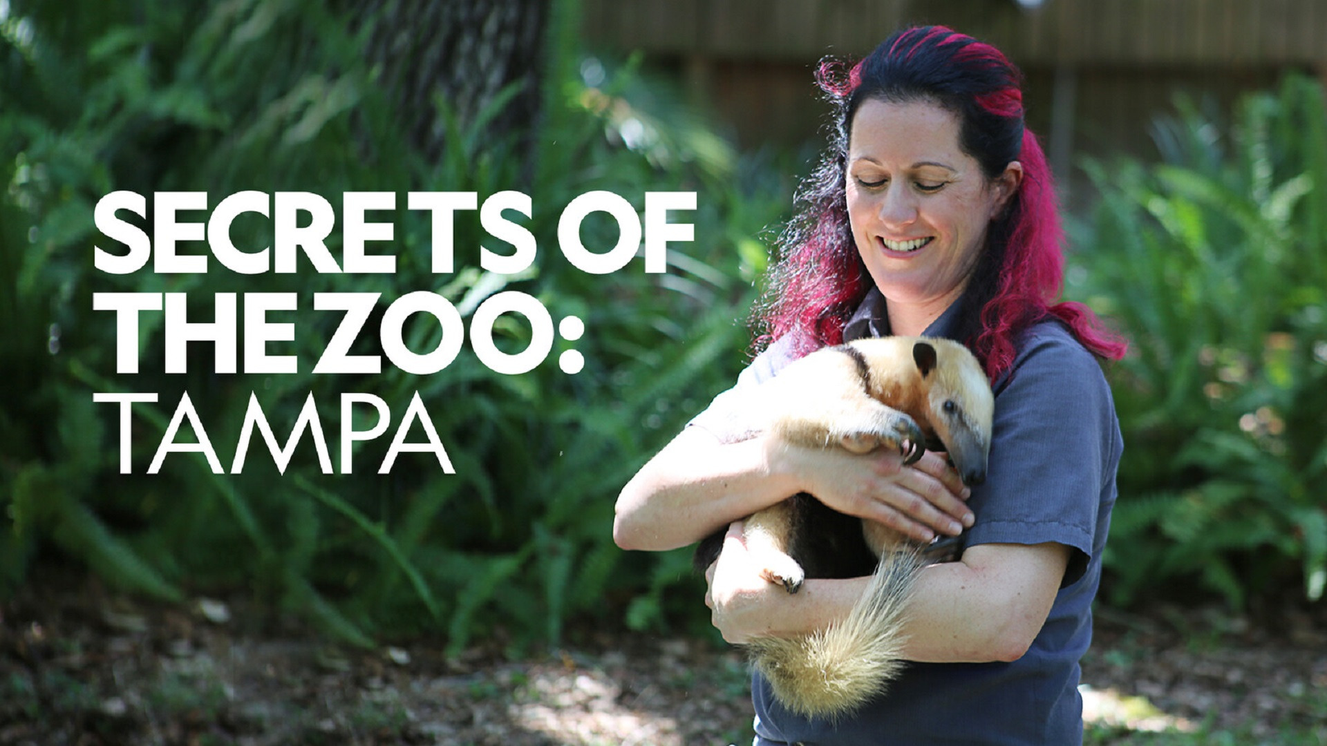 Show Secrets of the Zoo: Tampa