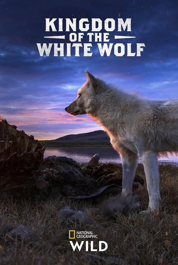 Show Kingdom of the White Wolf